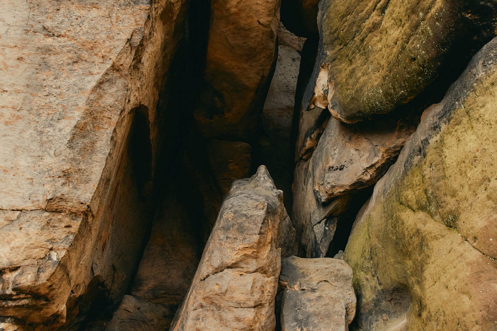 Close-up of textured rock formation.