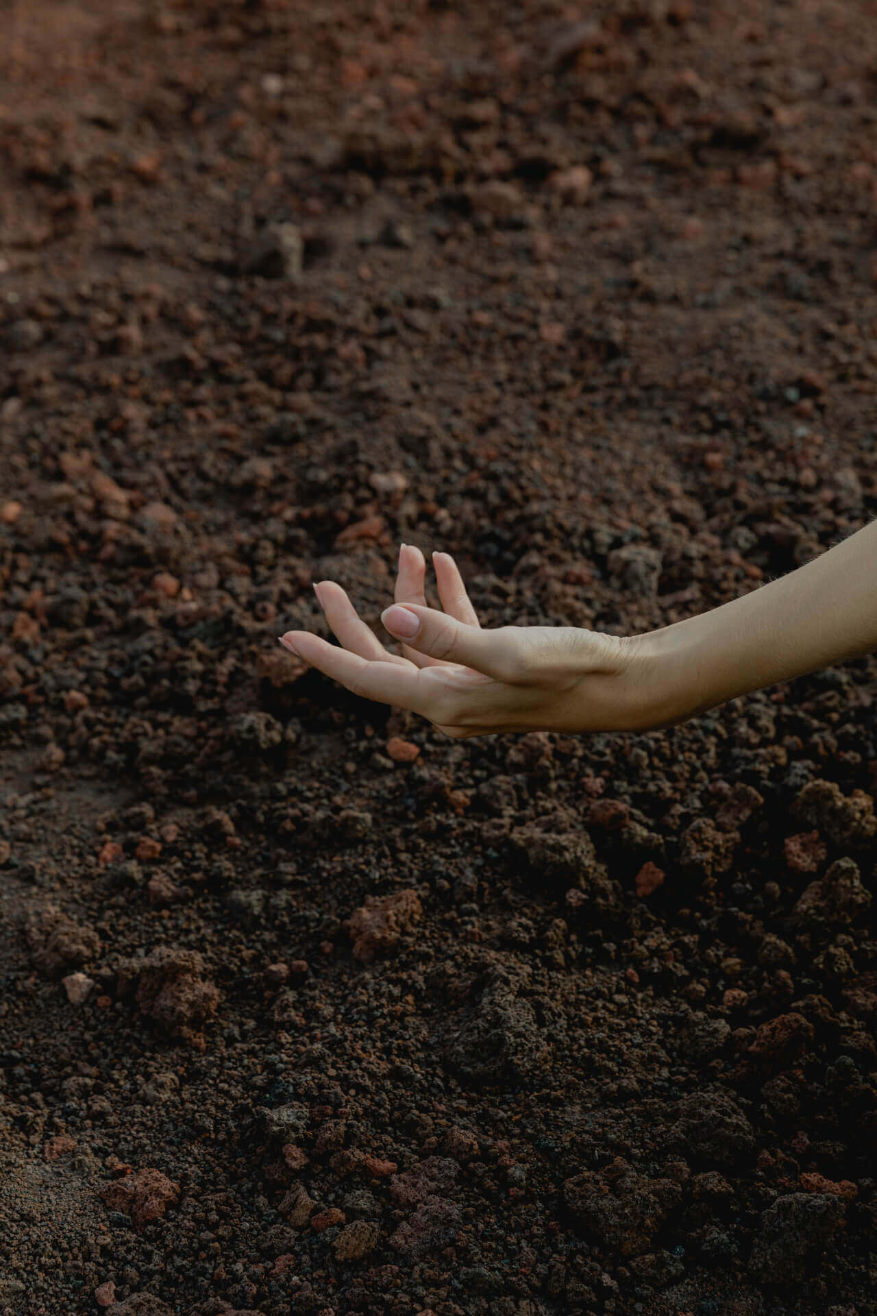 Hand reaching out over dark soil.