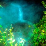 Misty ghostly figure in a forest.
