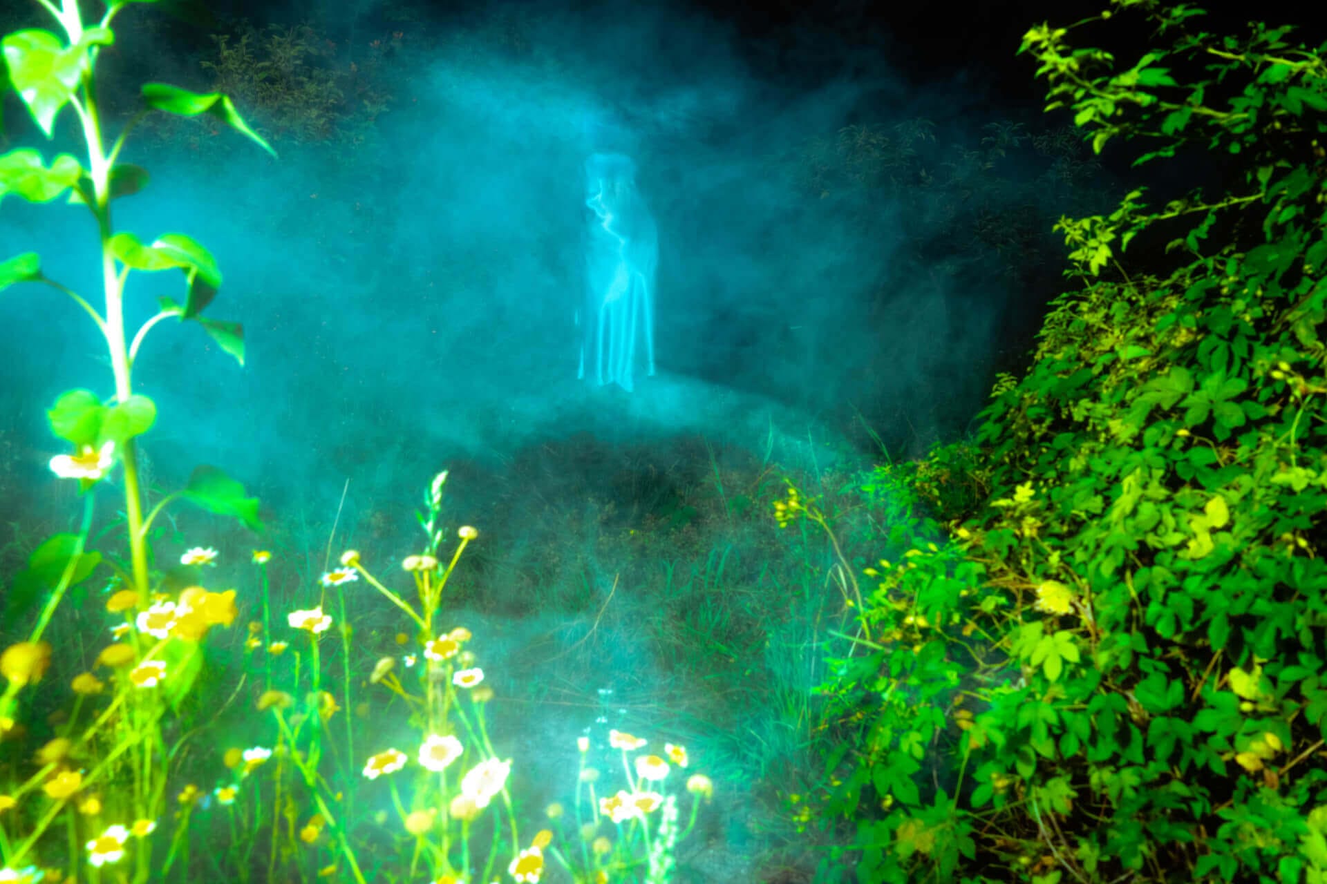 Misty ghostly figure in a forest.