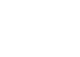 Authentic Collection Regular Fit label design.
